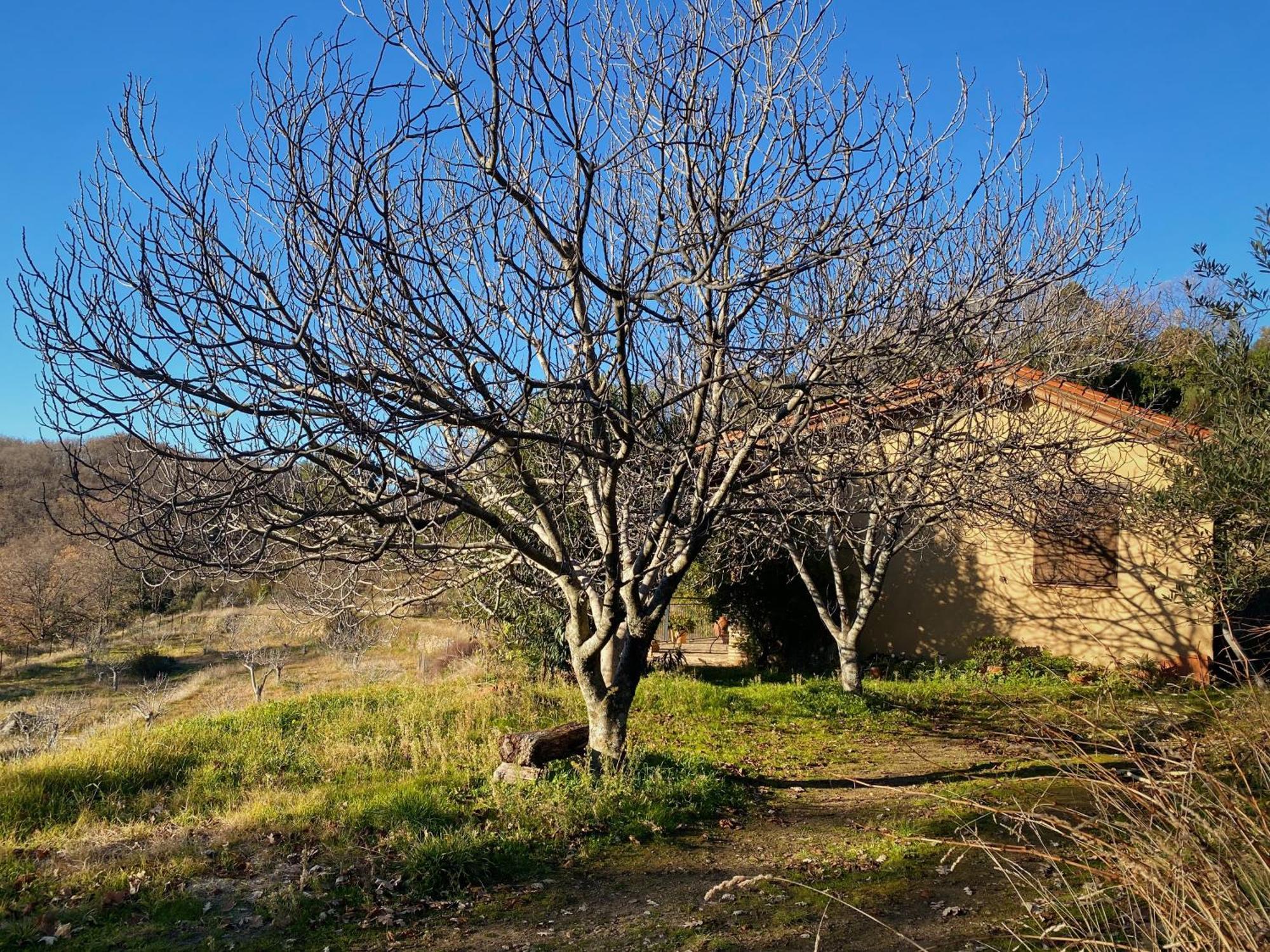 Vergel San Pedro Torremenga Exterior photo